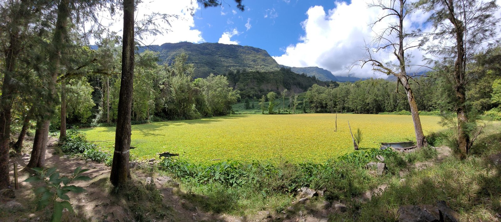 Ici et Maintenant… Moi – Véronique Tilman – Sophrologue