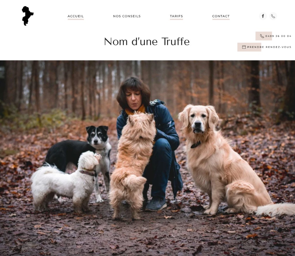 Aperçu du site Nom d'une truffe